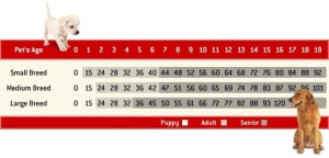 dog age chart